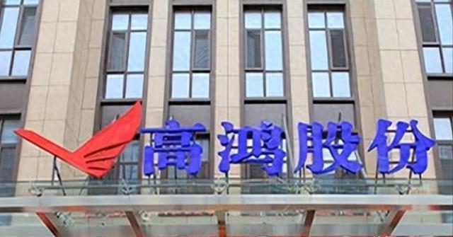 全烂透了！9个董监高无一清白，强制清退！知名央企22年造假198亿