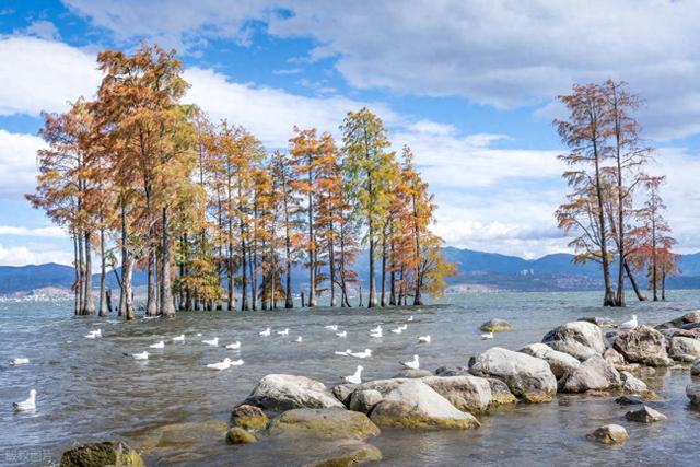 11月-12月，淡季旅行适合去的5个目的地，人少清净，秋景斑斓