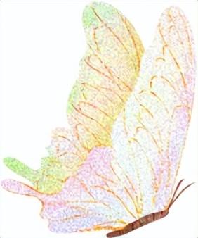 赶紧约！去绵竹这里拍五彩油菜花，还有长桌宴等你来......