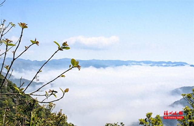 福州鼓岭再现绝美云海景观