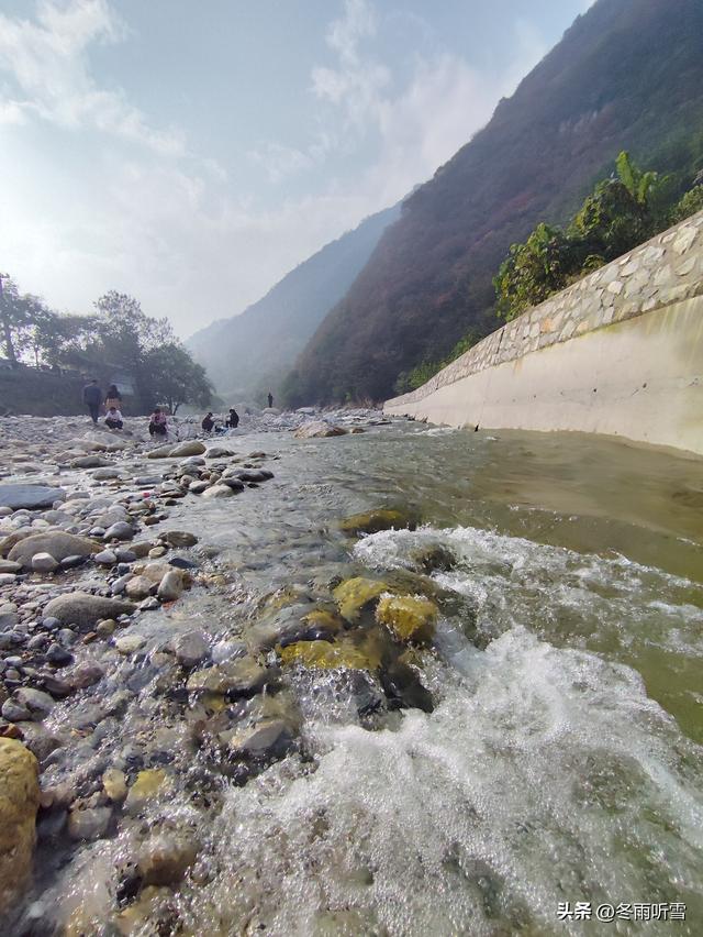 又见山山红叶飞