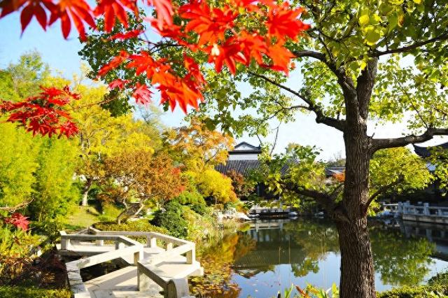 深秋时节 山东青岛阿朵小镇美如画
