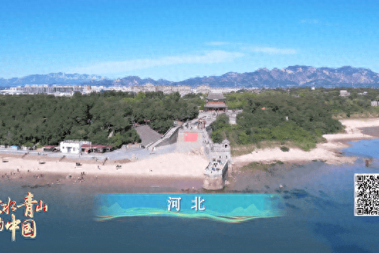 绿水青山的中国丨碧海生金！旧码头蝶变新地标