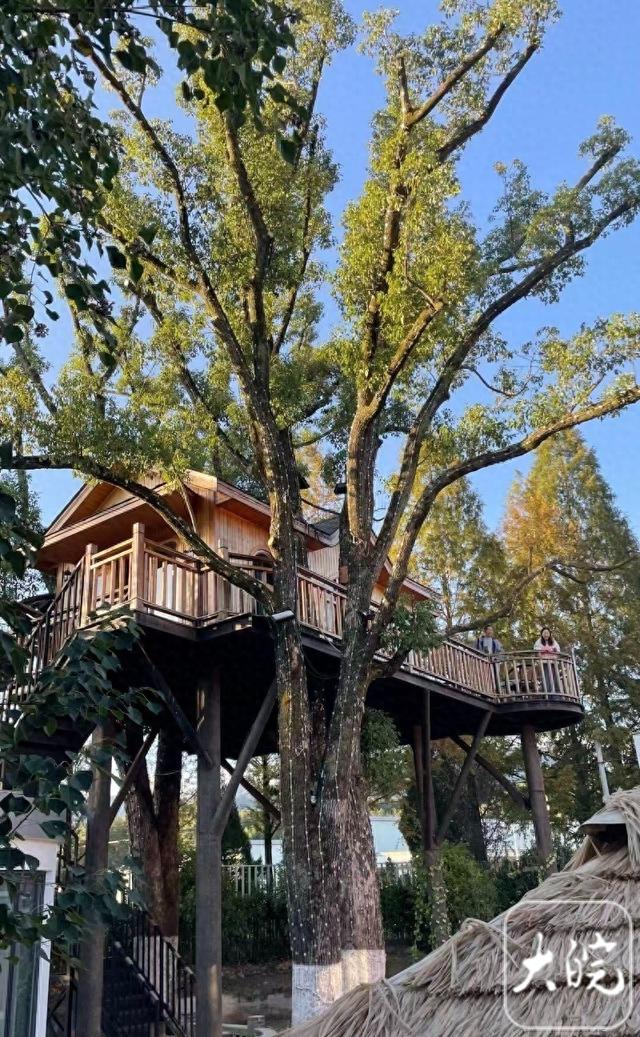 黄山道班“变身”驿站  潭家桥道班将改建为中国首家公路文化博物馆主题酒店