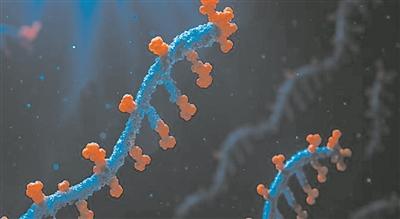 优化设计必修一生物（生物人工智能系统创建 可模拟自然进化 能加速分子研发）