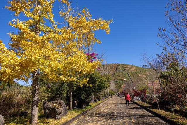 腾冲游之火山地质公园