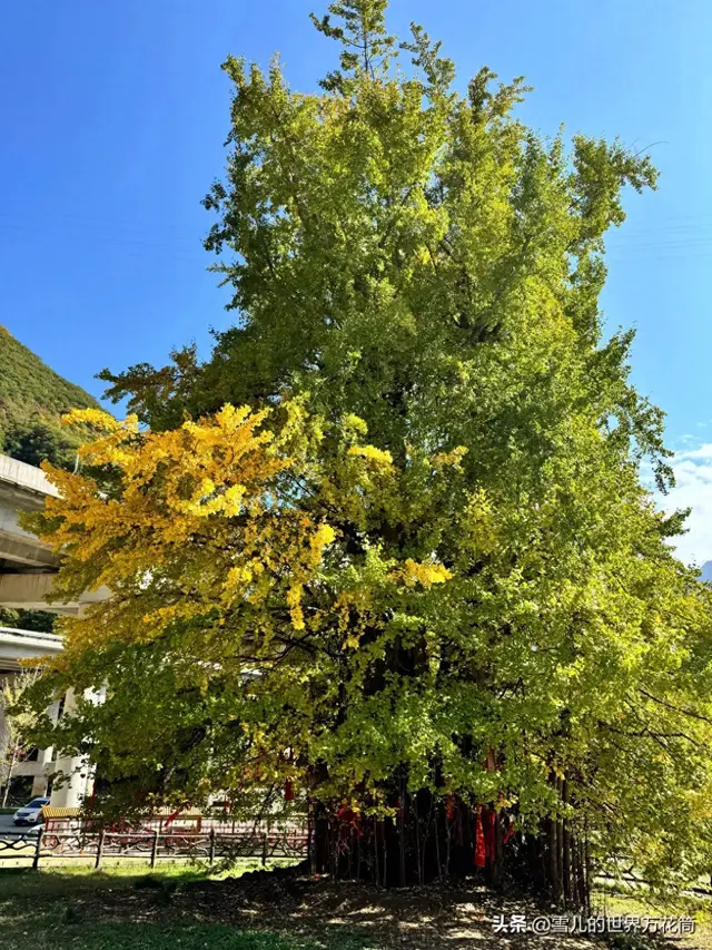 秦岭深处有人家（一）——四千年的对话