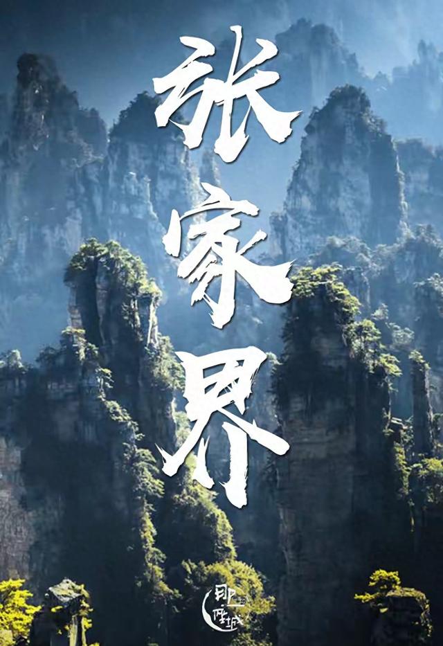 张家界的山里，一群野人赢麻了