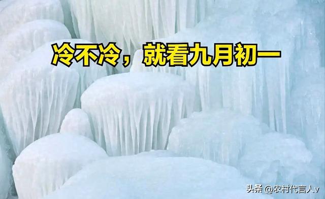 今日九月初一，“冷不冷，就看九月初一”，今年冬天真要冻哭？