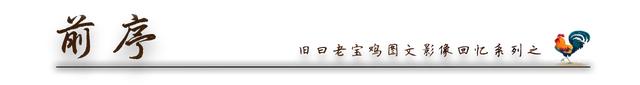 百年宝鸡城市历史影像之：别了八零后成长的地方南关路老区
