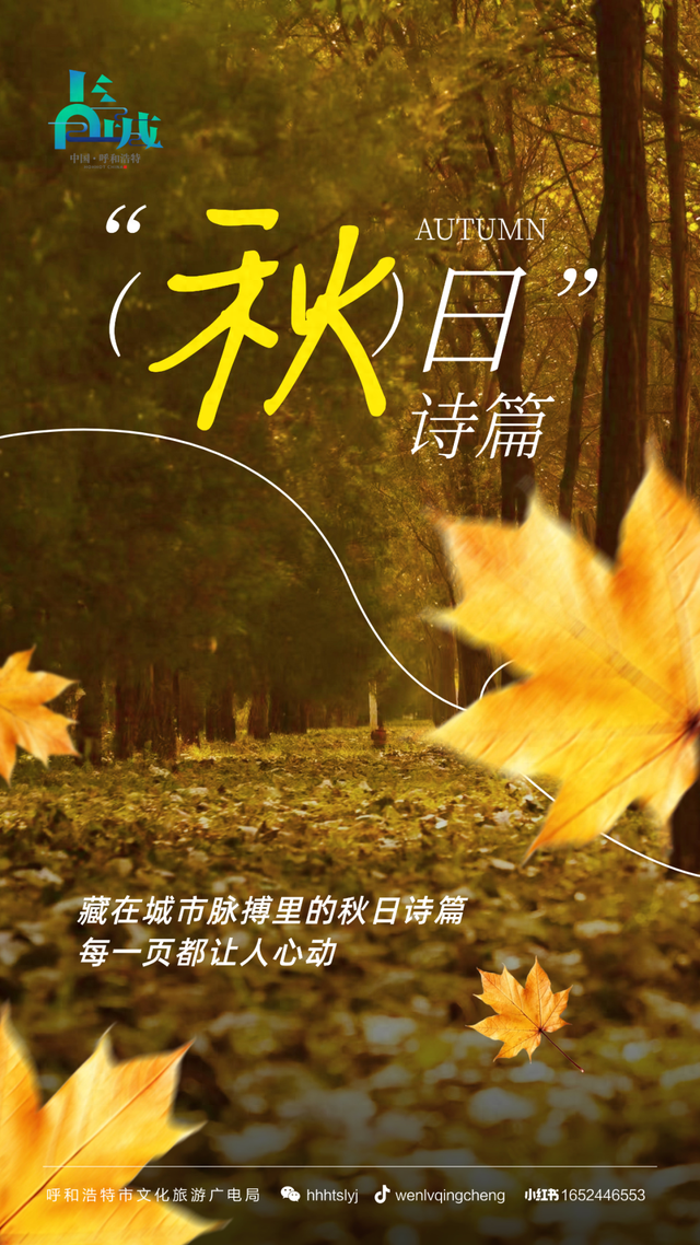 听，呼和浩特秋天的BGM正在你耳边播放