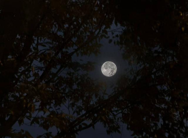 我的第一次进藏经历（二）