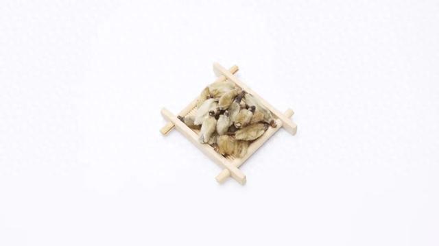 一个千古名方,除掉导致鼻炎的“罪魁祸首”,鼻子通畅,全身舒服