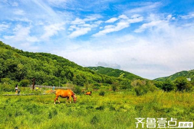 秋日的坝上草原，是天地间最恣意的写意画卷