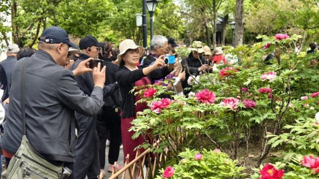 一天近4万人涌入！常州这座免费公园火了