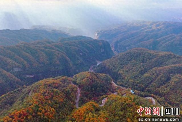 秋色渐浓  快来广元旺苍打卡彩林诗意画卷