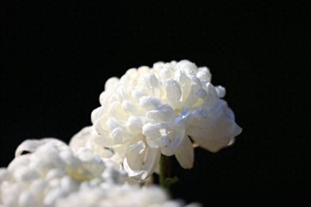 突发！广东汕头一住宅发生火灾	，致8人死亡