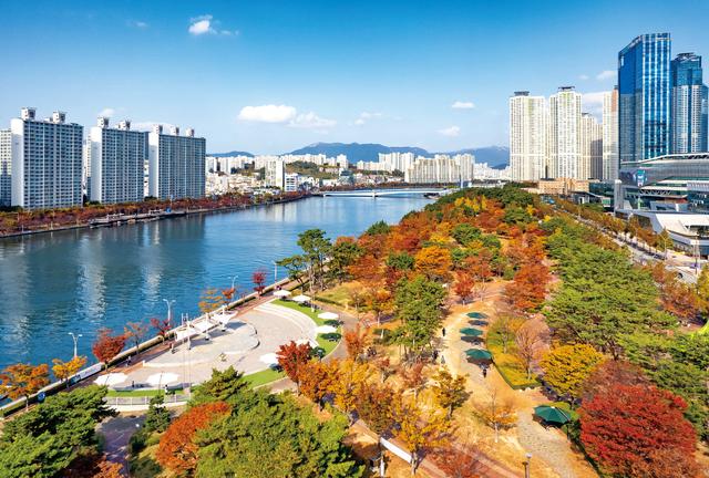 团队免签+APEC会议助力，赴韩旅游市场加速恢复