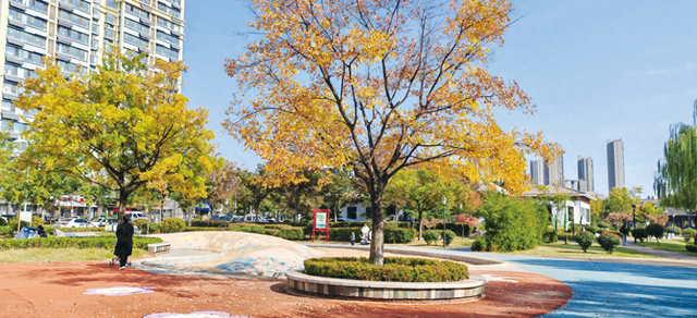 岚山初冬：山海间的斑斓与匠心