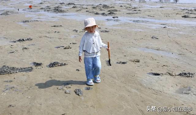 北海旅行,小朋友最开心的一站——红树林赶海!