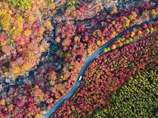 在英雄战斗过的地方，奋进！