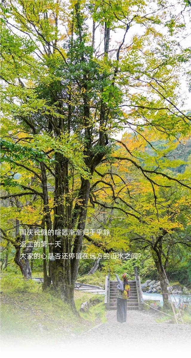 假期圆满结束！这个国庆初秋，你遇见了怎样的喇叭河？