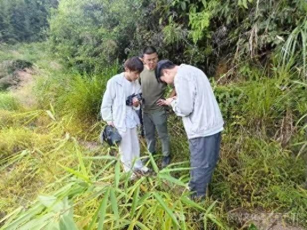 从安溪到武夷山，古茶道脉络确定，“万里茶道（安溪段）”文化遗产调查取得阶段性成果