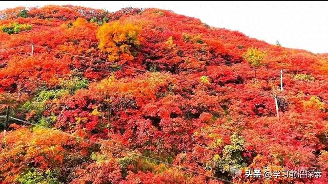 郧阳秋深：山河燃情，文明铸魂