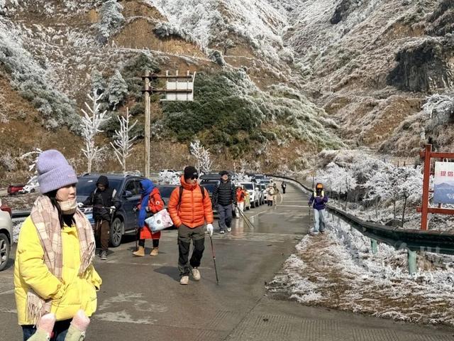 有执念！柳州这个森林公园变身“冰雪王国”，紧急封路也要走上去！