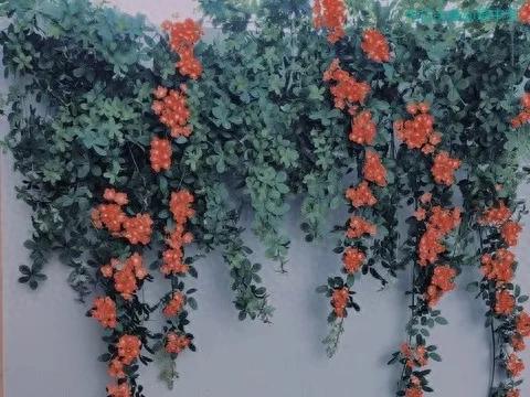 为什么有钱人往往信佛？一位每天4点拜佛的亿万老板，告诉我真相