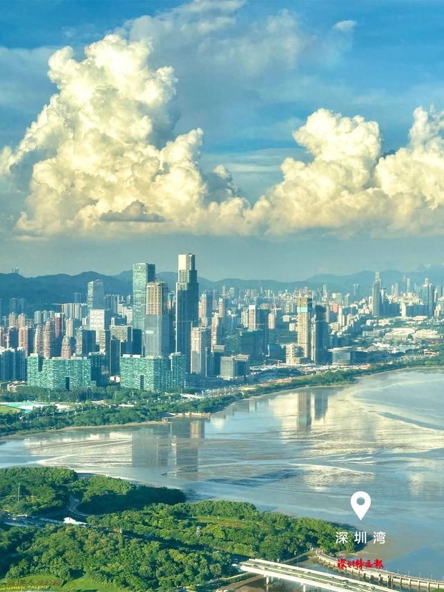 美丽深圳·每日一图｜2025年8月26日