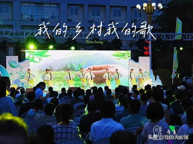 夜游金集有感｜了不起的天长