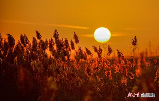 大漠深处落日圆 党河暮色醉敦煌