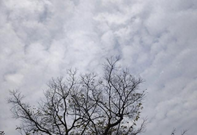 身体出现这3种情况，说明你跑多了，该休息了。