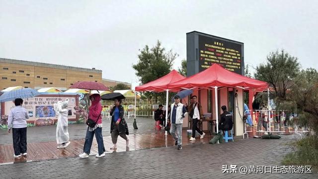 【情满双节游东营】黄河口生态旅游区游人如织，沉浸式体验国庆氛围