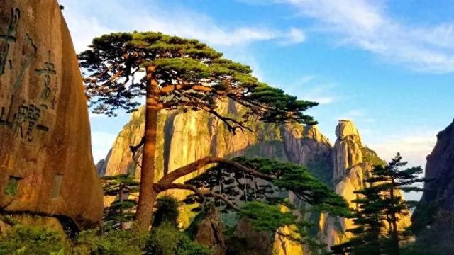 黄山秋色天花板！2025绝美赏秋攻略：解锁99%人不知道的秘境玩法