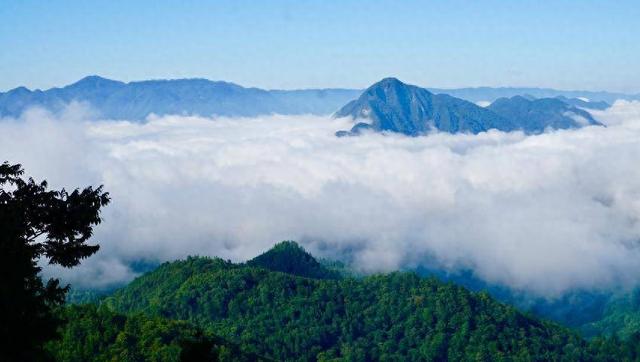 鹤峰三里荒晨韵：云海深处诗意浓