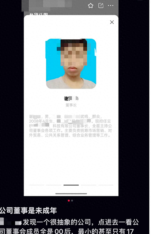 南宁一公司董事长系17岁未成年人？确为17岁，公司真实存在！当事人：本人系中职生，公司不存在任何违法违规