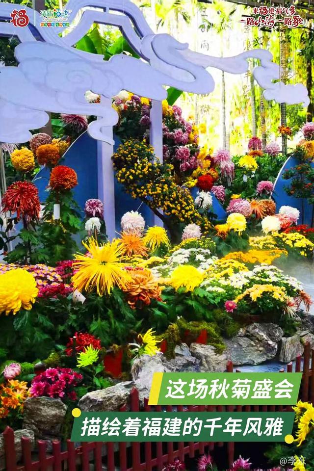 这场秋菊盛会，描绘着福建的千年风雅