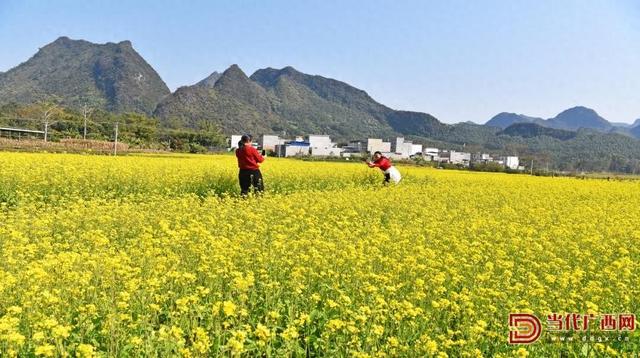 冬日暖阳游，上林多去处