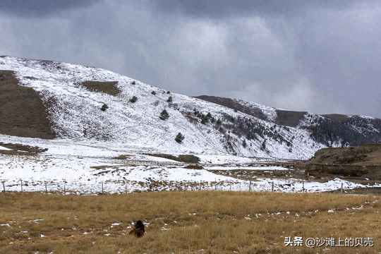 雪花飘落的时候