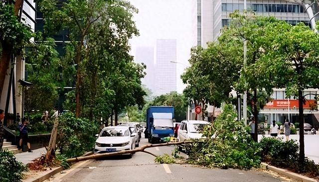 有人预测：不出意外，2月开始将呈现5大现象	，老百姓需做好准备