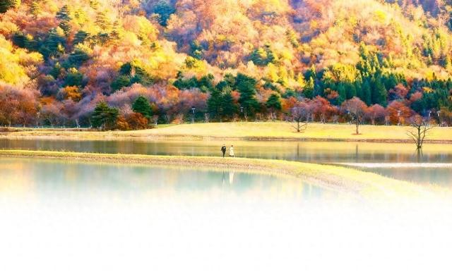 为有秋色赋人间