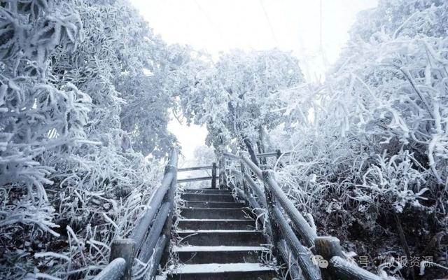 资源县：寒凝琼枝引客来 雾凇盛宴醉游人