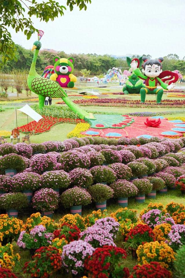 门票免费送！里水百亩花海上新！拍照遛娃圣地→
