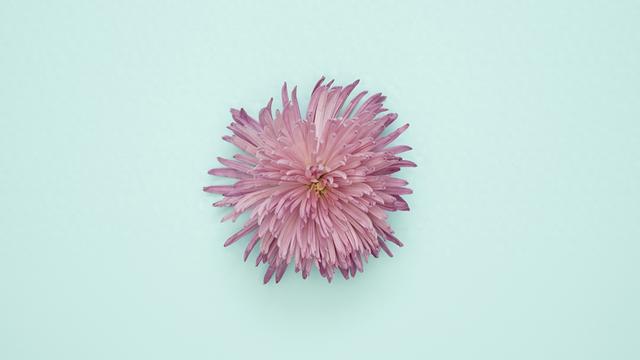 1月6日，星期二	，亥猪，即将有事发生