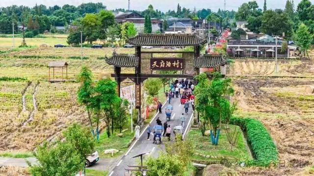 带你玩转天府酒村！秋季村糖会最全游玩攻略来了