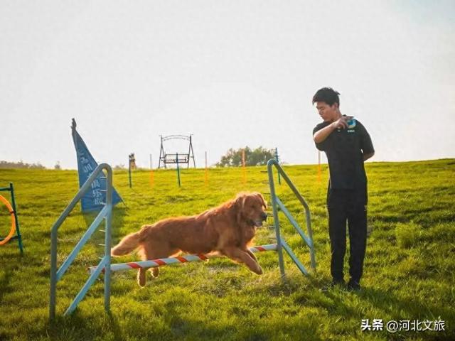 消费潜能激发：北戴河新区小众经济成增长引擎