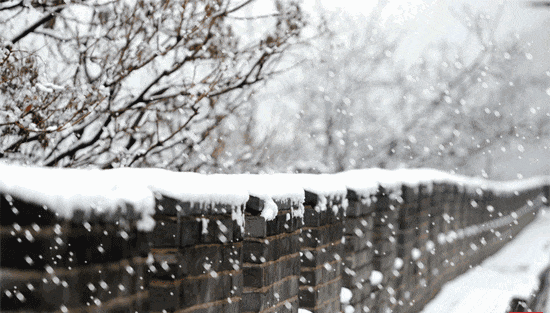 小雪到中雪+大雪！张家口大范围降雪来了→