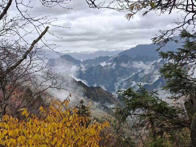 绝美秋天！重阳节广元唐家河红叶美得让人窒息，别错过哦！